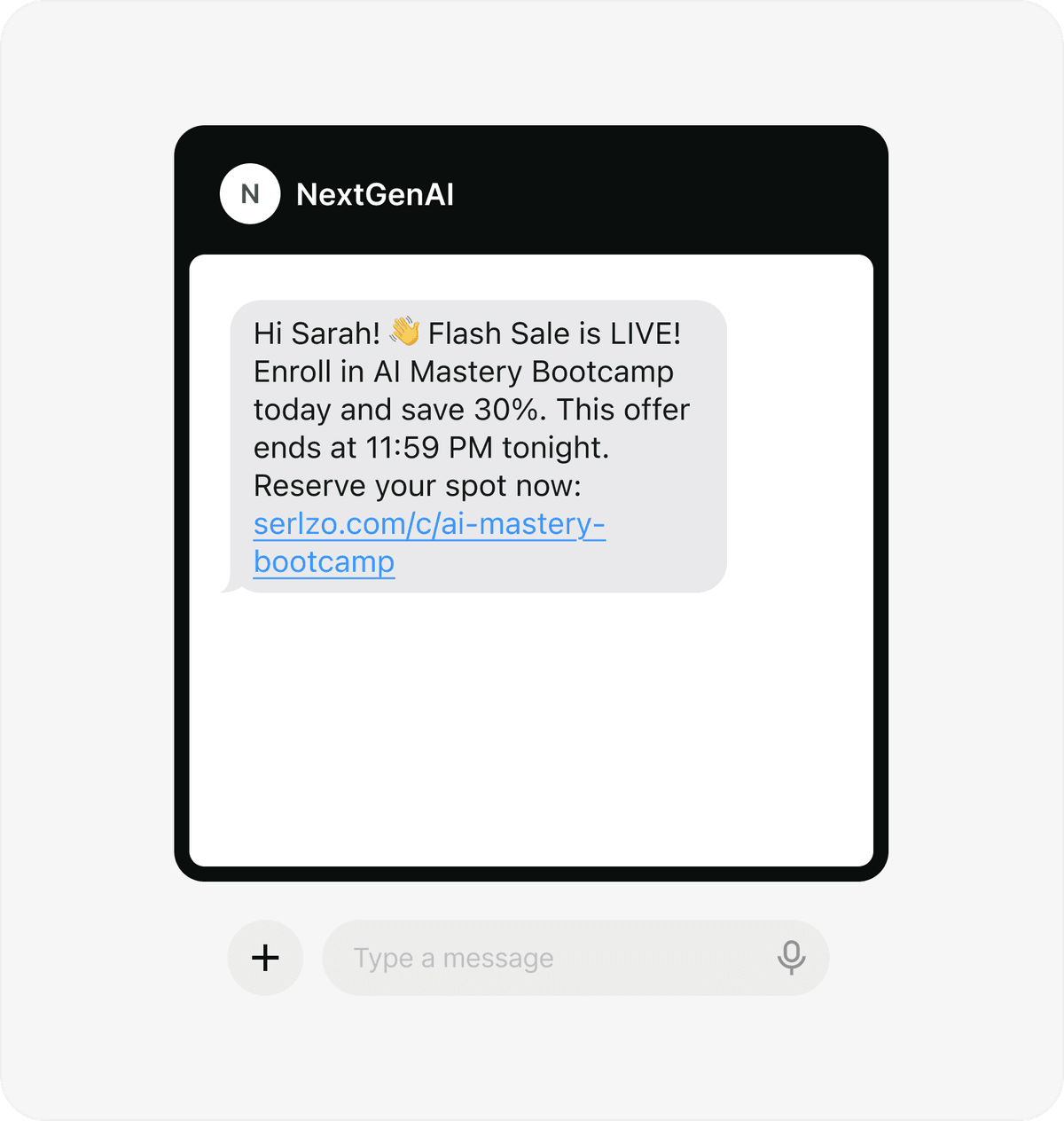 Chat preview where Serlzo drafts a flash-sale campaign ready to send